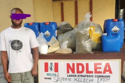 NDLEA busts clandestine Colos lab in Lagos, intercepts Loud consignments