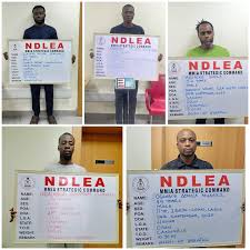 Cocaine, opioid: Five drug kingpins bag 21 years imprisonment