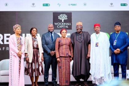 Woodhall Capital targets $50bn in global investments for Nigeria’s devt
