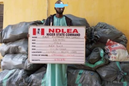 Fleeing bandits’ drug supplier ‘Gamboli’ arrested in Niger