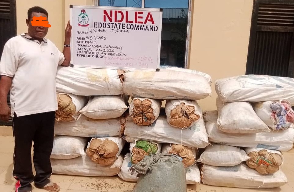 NDLEA arrests alleged drug lord in Edo, seizes skunk and seeds