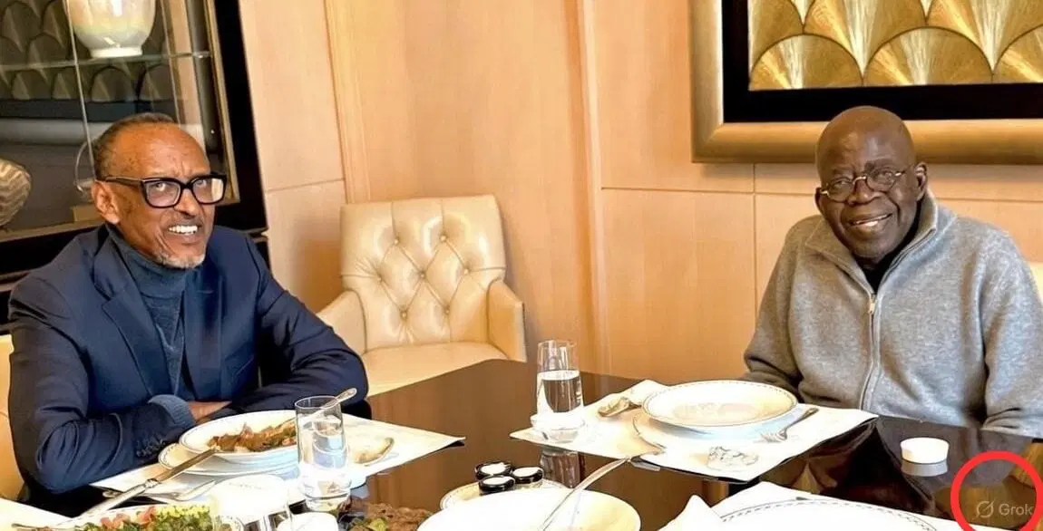Tinubu-Kagame photo in Paris not AI-generated –Presidency