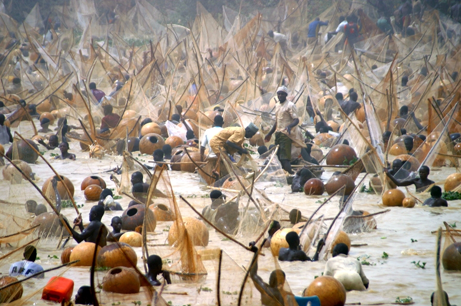 Argungu festival: Kebbi secures $14bn investment commitments