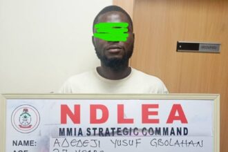 NDLEA intercepts cocaine sent from jail by drug kingpin