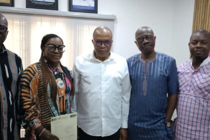 Newstap/ SWAN awards nomination a rare privilege -Olopade