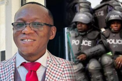 State police: Expert, Oyebade, calls for hybrid security solution