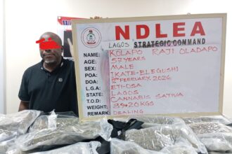 NDLEA arrests suspected drug kingpin on the watchlist since 2025