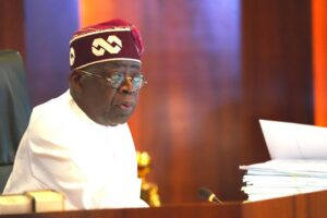 The Tinubu enigma: Power, strategy and the Nigerian state