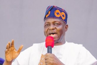 FCT polls, a clear endorsement of Tinubu’s reforms —APC chair