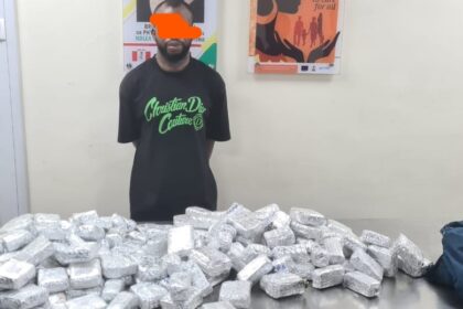 NDLEA intercepts opioids, meth in carton walls, winter jackets