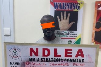 NDLEA nets wanted drug kingpin after 13 years in hiding