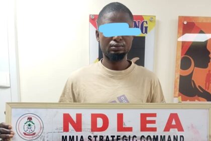 NDLEA intercepts large cocaine consignment hidden in ‘Okporoko’
