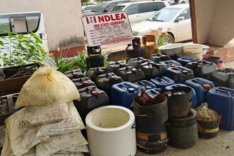 NDLEA dismantles clandestine laboratory in Imo village