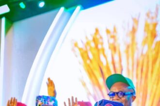 APC: Yilwatda re-elected as national chairman, speaks on mission