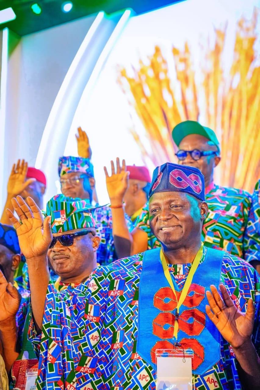 APC: Yilwatda re-elected as national chairman, speaks on mission