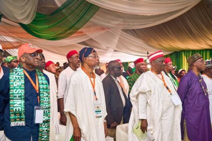 ADC convention ratifies David Mark-led NWC