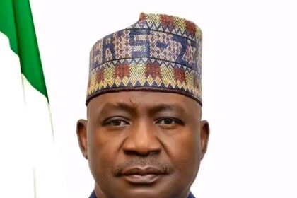 Nigeria to deploy special forces to Türkiye for training —Minister