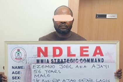 NDLEA uncovers cocaine in palm kernel oil cans, arrests kingpin