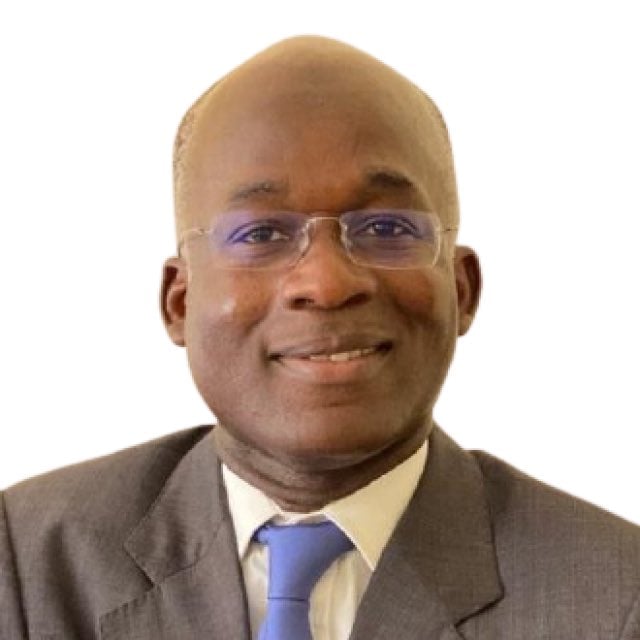 Tinubu appoints Babalola as special adviser on power
