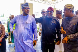 Be wary of opposition elements trying to truncate democracy -Sani