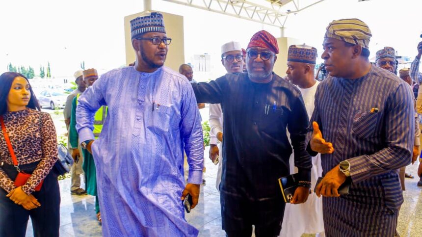 Be wary of opposition elements trying to truncate democracy -Sani
