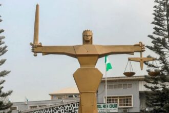 Ekiti tribunal: Why BVAS rejected my voter’s card –SDP witness