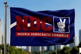 NDC pegs presidential form at N60m, releases primaries timetable
