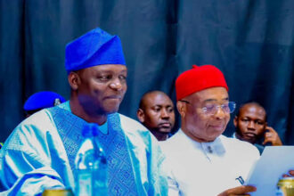 APC: Yilwatda, Uzodimma call for unity among diaspora members