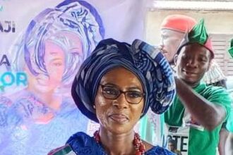 Ogun guber: US-based Bolaji Odusina wins NDC ticket