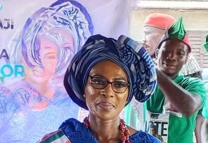 Ogun guber: US-based Bolaji Odusina wins NDC ticket