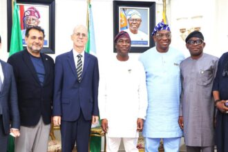 Lagos seeks deeper economic partnership with Turkey
