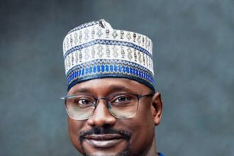 REA: Nigeria’s renewable energy workforce participation very low