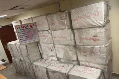 N10b cocaine, loud, opioids intercepted at ports, kingpins arrested