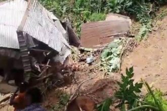 Five die in Cross River landslide
