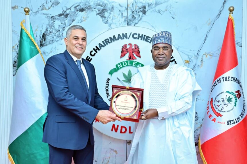 Drug war: Egypt seeks collaboration with Nigeria