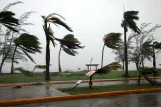 Windstorm kills seven, affects 5,403 residents in Jigawa