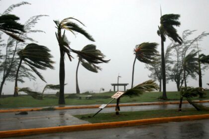 Windstorm kills seven, affects 5,403 residents in Jigawa