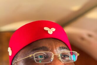 APP senatorial candidate, Amadi, advocates end to cycle of poverty in Imo