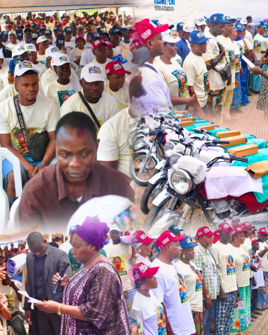 Ogun Central: Iyabo Obasanjo appoints 370 ward coordinators