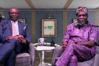 INEC voter register bloated with multiple registrations -Okoye