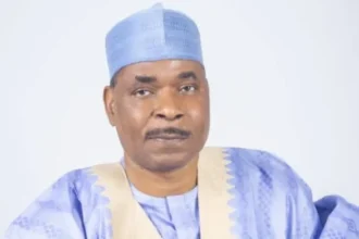 Former I-G Adamu emerges SDP guber candidate in Nasarawa