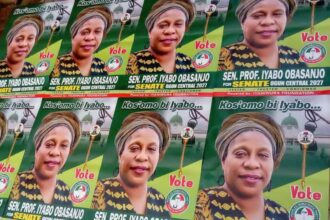 Removal of posters: Who is afraid of Iyabo Obasanjo?