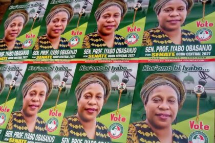 Removal of posters: Who is afraid of Iyabo Obasanjo?