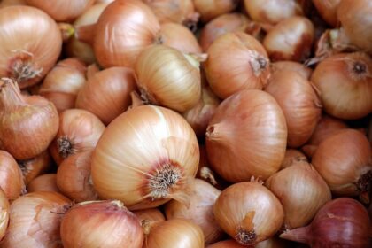 Onion prices soar by 200% in Lagos