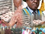 How FUNAAB pushes for safer, more profitable smoked fish