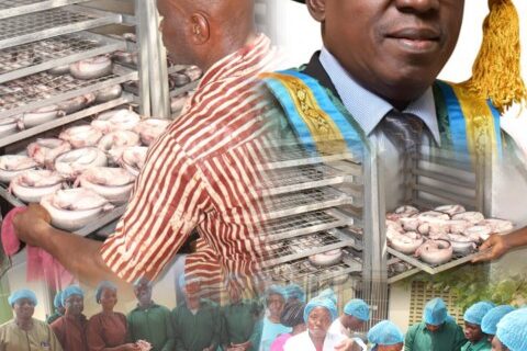 How FUNAAB pushes for safer, more profitable smoked fish