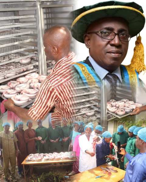 How FUNAAB pushes for safer, more profitable smoked fish