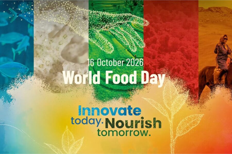 Put nutrition at centre of food security, CAPPA urges FG