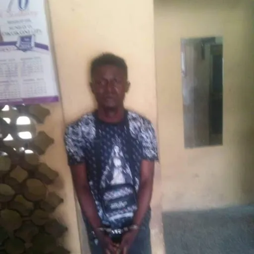 Police arrest notorious cult leaders in Lagos