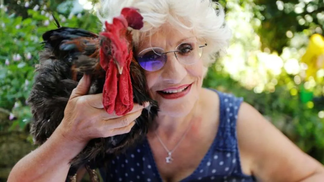Noise pollution: How man sues Cockerel, loses case